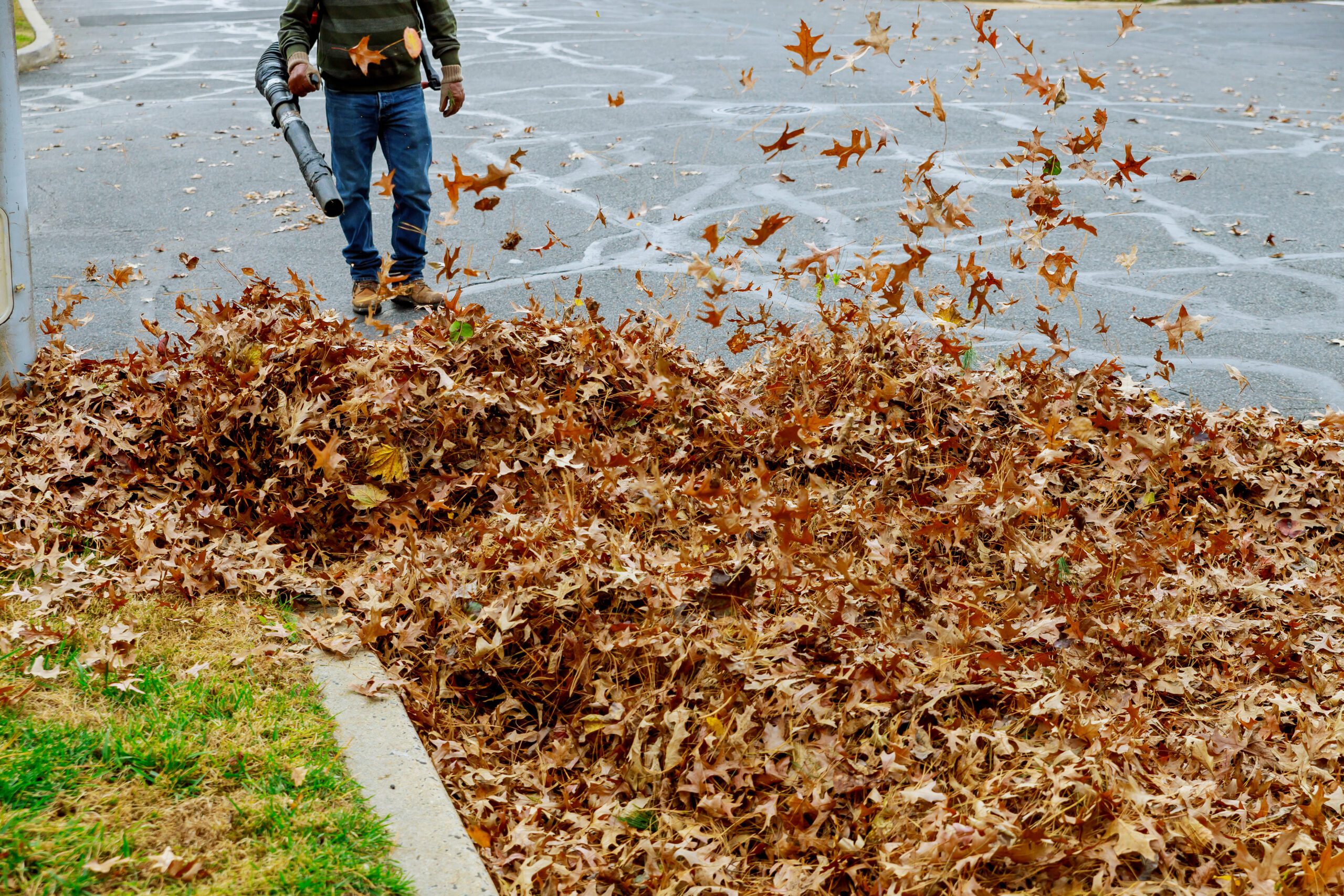 lawn mowing services near me yard maintenance garden maintenance near me gardening services near me grass cutting services near me garden maintenance gardening services lawn mowing service mowing services near me yard work near me lawn mowing lawn maintenance lawn service near me
