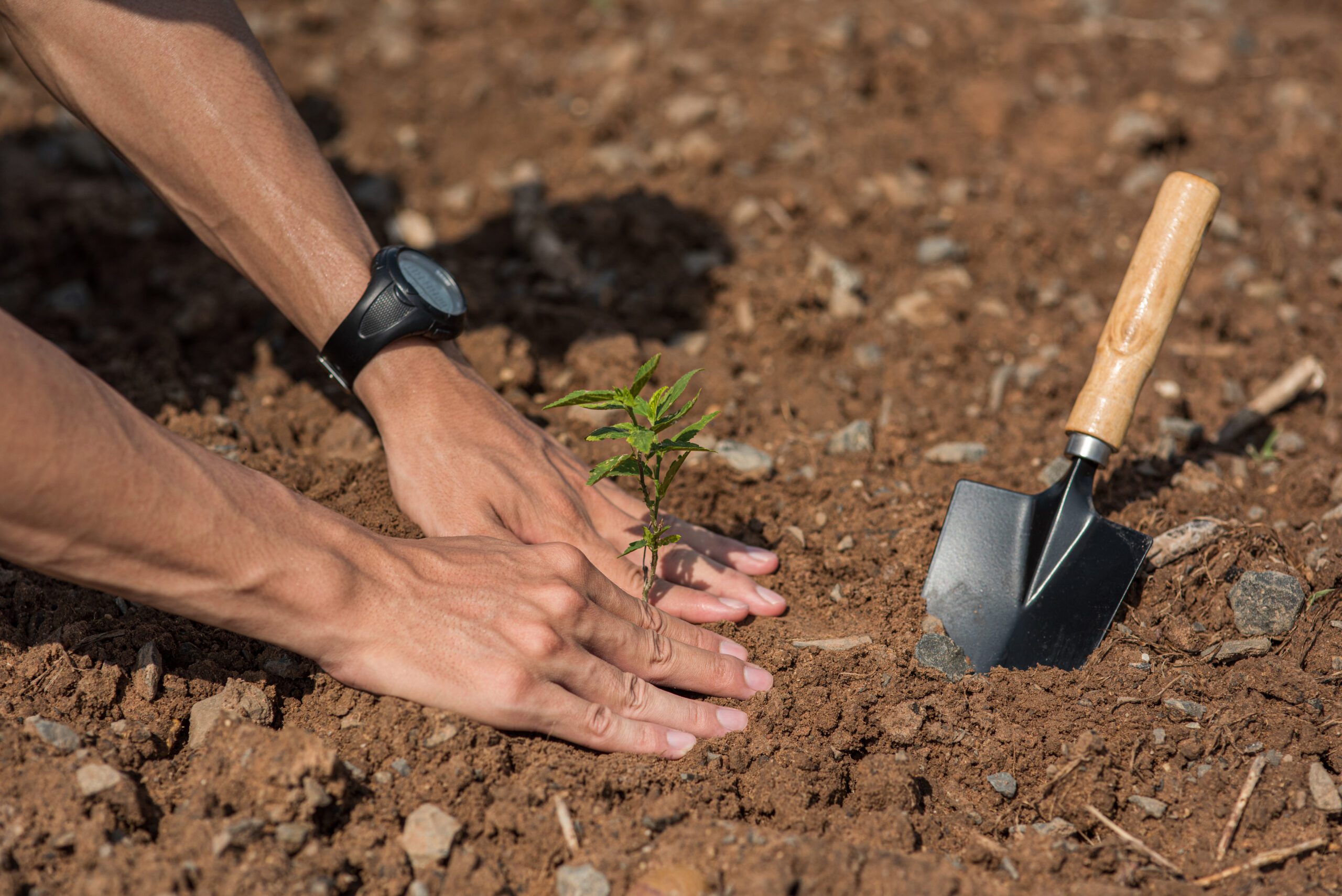 Landscaping Services