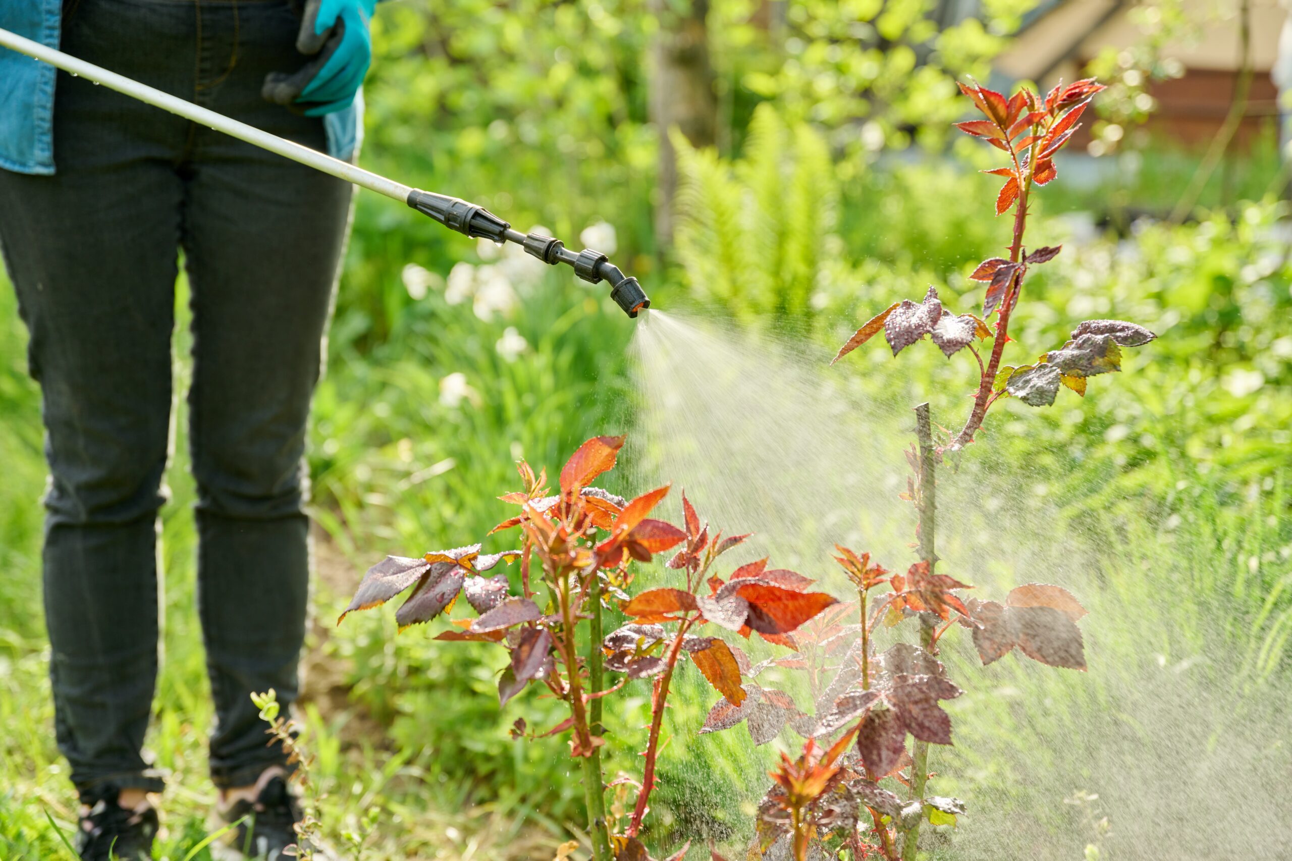 lawn mowing services near me yard maintenance garden maintenance near me gardening services near me grass cutting services near me garden maintenance gardening services lawn mowing service mowing services near me yard work near me lawn mowing lawn maintenance lawn service near me